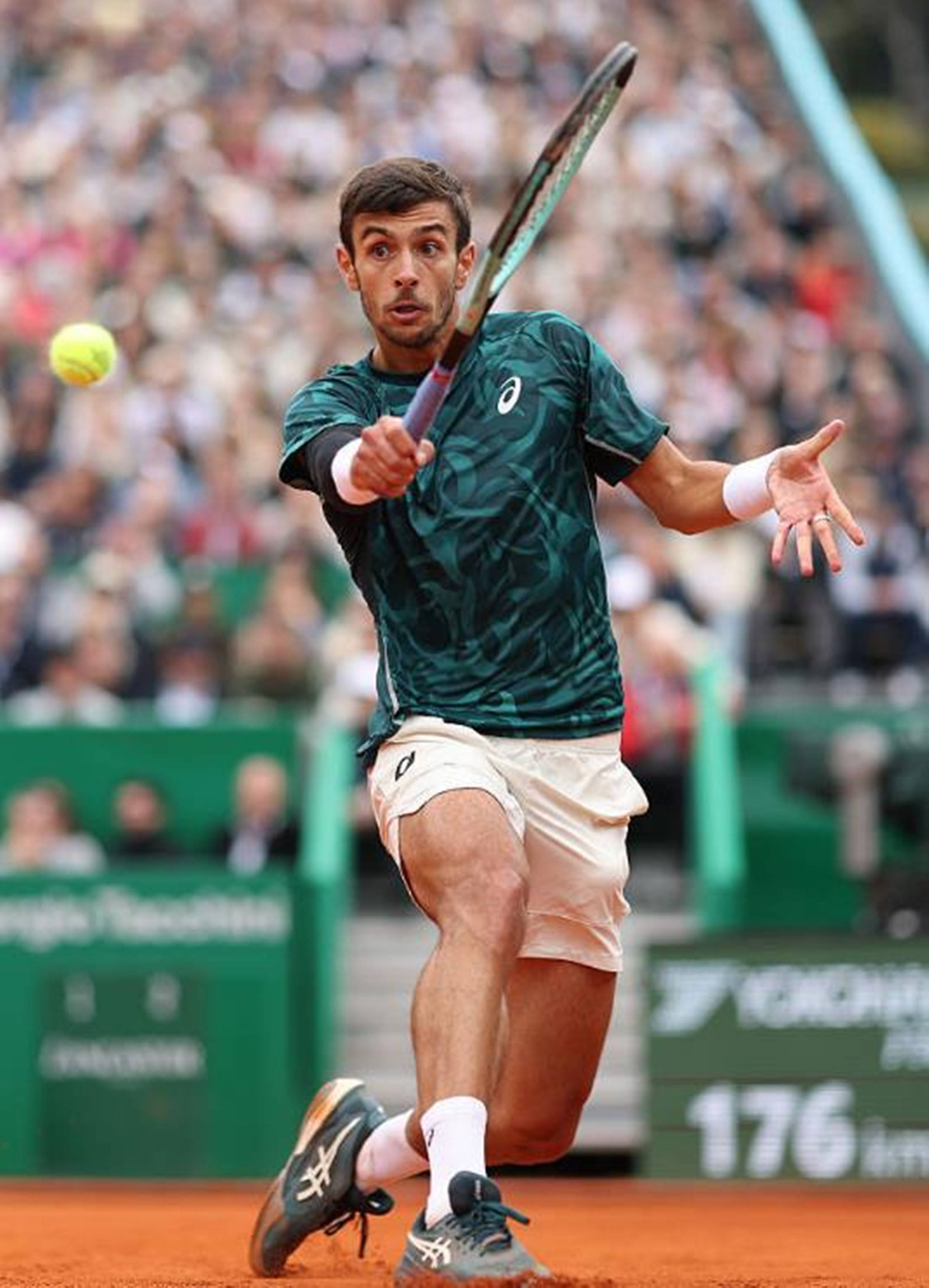 的出色表现 的出色表现